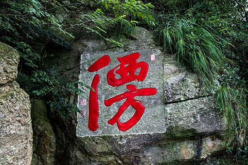 5E8A3110.jpg 5E8A3110.jpg