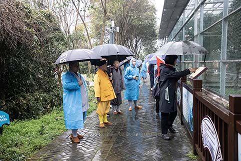 IMG_0646-已增�?NR 拷贝 2.jpg IMG_0646-已增�?NR 拷贝 2.jpg