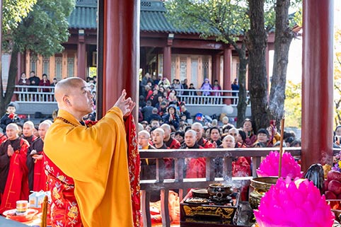 5E8A6392.jpg 5E8A6392.jpg