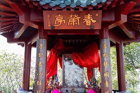 5E8A6528.jpg 5E8A6528.jpg