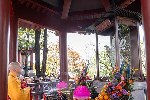 5E8A6593.jpg 5E8A6593.jpg