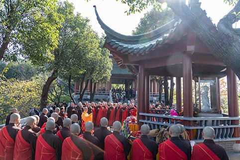 5E8A6606.jpg 5E8A6606.jpg