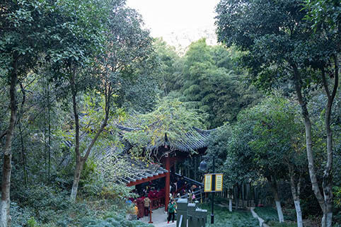 5E8A8116.jpg 5E8A8116.jpg