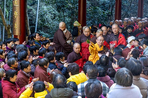 5E8A8161.jpg 5E8A8161.jpg