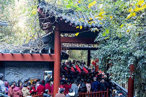 5E8A8114.jpg 5E8A8114.jpg