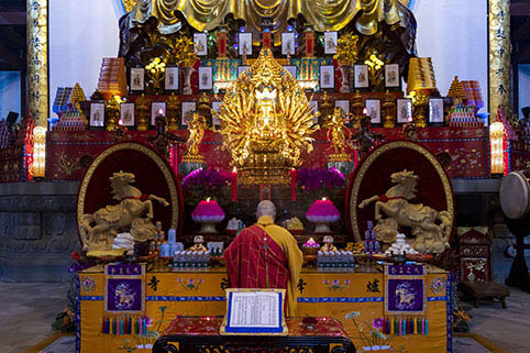 _U5A0035.jpg _U5A0035.jpg